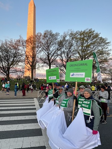 Credit Union Employees at Cherry Blossom Run 2023